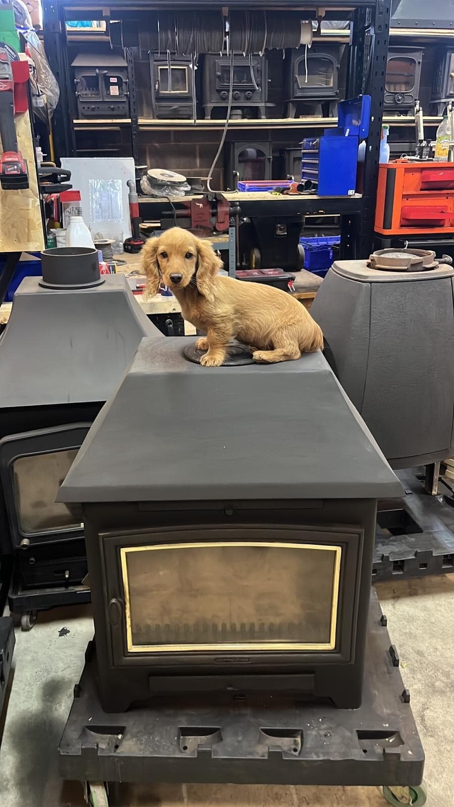 Aarrow Becton 14Kw LARGE OUTPUT, multifuel Stove log burner delivery available! 5