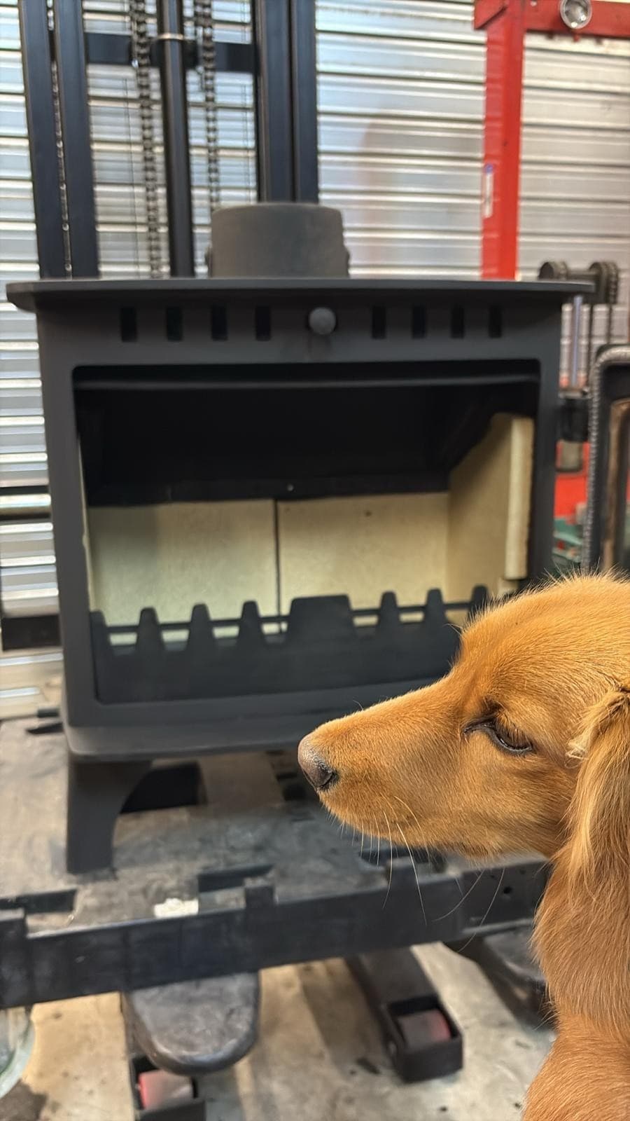 Hunter Herald 8 Wood Burning Stove 8kw, Woodburner (log,wood+burner), DEFRA, 🚚 4