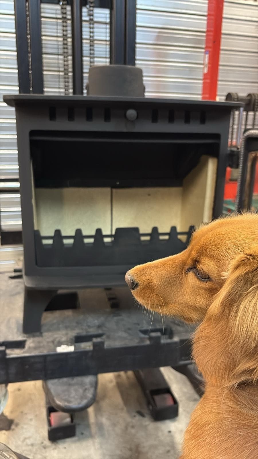 Hunter Herald 8 Wood Burning Stove 8kw, Woodburner (log,wood+burner), DEFRA, 🚚 3